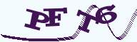 272495